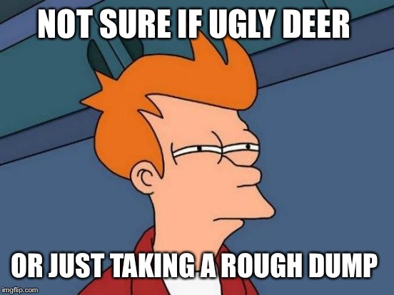 Futurama Fry Meme | NOT SURE IF UGLY DEER OR JUST TAKING A ROUGH DUMP | image tagged in memes,futurama fry | made w/ Imgflip meme maker