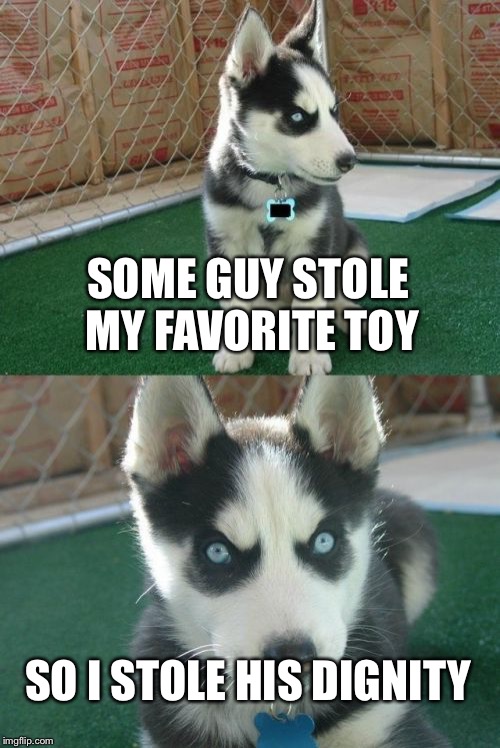 Insanity Puppy Meme | SOME GUY STOLE MY FAVORITE TOY; SO I STOLE HIS DIGNITY | image tagged in memes,insanity puppy | made w/ Imgflip meme maker