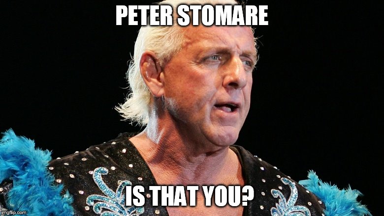 PETER STOMARE; IS THAT YOU? | image tagged in wrestling,pro wrestling,fargo | made w/ Imgflip meme maker