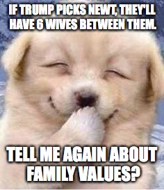 Smiling Puppy | IF TRUMP PICKS NEWT, THEY'LL HAVE 6 WIVES BETWEEN THEM. TELL ME AGAIN ABOUT FAMILY VALUES? | image tagged in smiling puppy | made w/ Imgflip meme maker