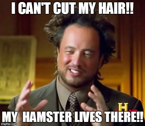 Ancient Aliens |  I CAN'T CUT MY HAIR!! MY  HAMSTER LIVES THERE!! | image tagged in memes,ancient aliens | made w/ Imgflip meme maker