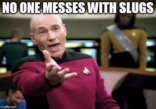 Picard Wtf Meme | NO ONE MESSES WITH SLUGS | image tagged in memes,picard wtf | made w/ Imgflip meme maker