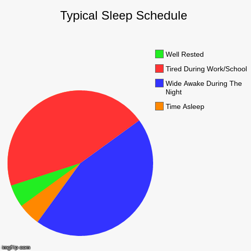 Don't You Agree? | image tagged in funny,pie charts,sleep,schedule,school,work | made w/ Imgflip chart maker