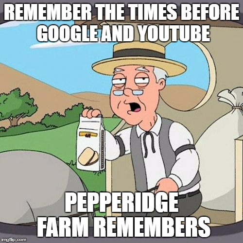 Pepperidge Farm Remembers | REMEMBER THE TIMES BEFORE GOOGLE AND YOUTUBE; PEPPERIDGE FARM REMEMBERS | image tagged in memes,pepperidge farm remembers | made w/ Imgflip meme maker