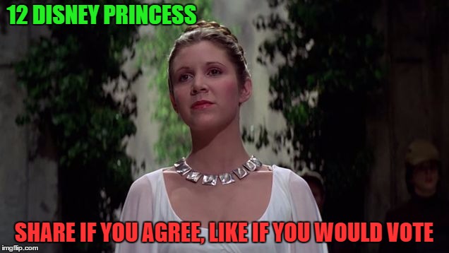 12th Disney Princess | 12 DISNEY PRINCESS; SHARE IF YOU AGREE, LIKE IF YOU WOULD VOTE | image tagged in 12th disney princess,star wars,princess leia,solo,geek,nerd | made w/ Imgflip meme maker