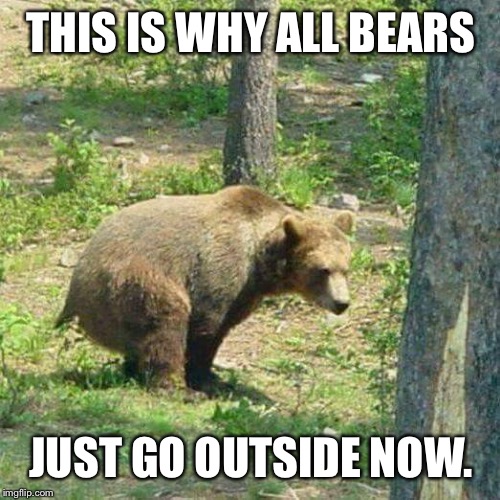 THIS IS WHY ALL BEARS JUST GO OUTSIDE NOW. | made w/ Imgflip meme maker