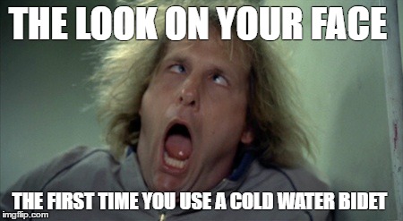 Scary Harry | THE LOOK ON YOUR FACE; THE FIRST TIME YOU USE A COLD WATER BIDET | image tagged in memes,scary harry | made w/ Imgflip meme maker