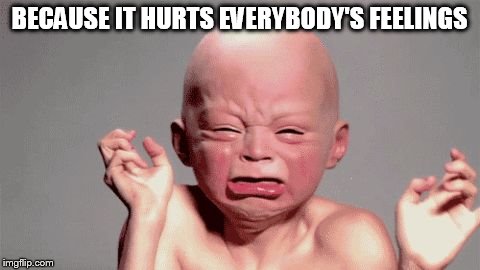 baby with quotation hands | BECAUSE IT HURTS EVERYBODY'S FEELINGS | image tagged in baby with quotation hands | made w/ Imgflip meme maker