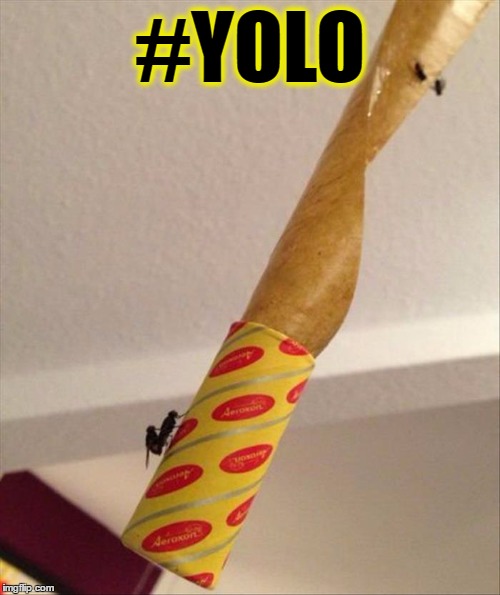 #YOLO | #YOLO | image tagged in yolo,badass | made w/ Imgflip meme maker
