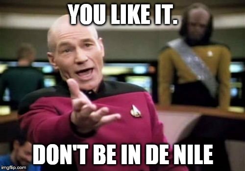 Picard Wtf Meme | YOU LIKE IT. DON'T BE IN DE NILE | image tagged in memes,picard wtf | made w/ Imgflip meme maker
