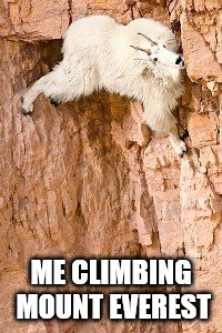 goat rock climbing | ME CLIMBING MOUNT EVEREST | image tagged in goat rock climbing | made w/ Imgflip meme maker