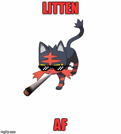 Litten AF | LITTEN; AF | image tagged in litten af | made w/ Imgflip meme maker