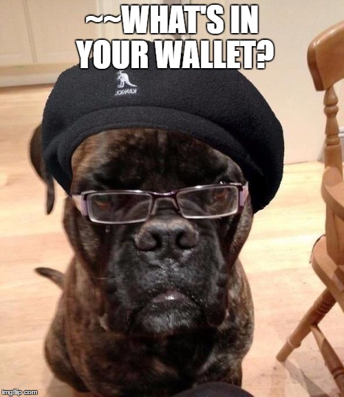 Samuel L Dogson | ~~WHAT'S IN YOUR WALLET? | image tagged in samuel l dogson | made w/ Imgflip meme maker