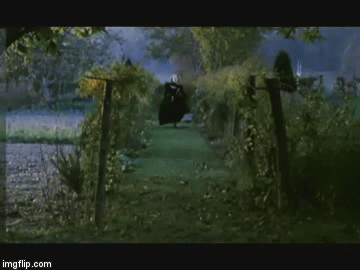 bovary run  | image tagged in gifs,bovary,chabrol,huppert,flaubert | made w/ Imgflip video-to-gif maker