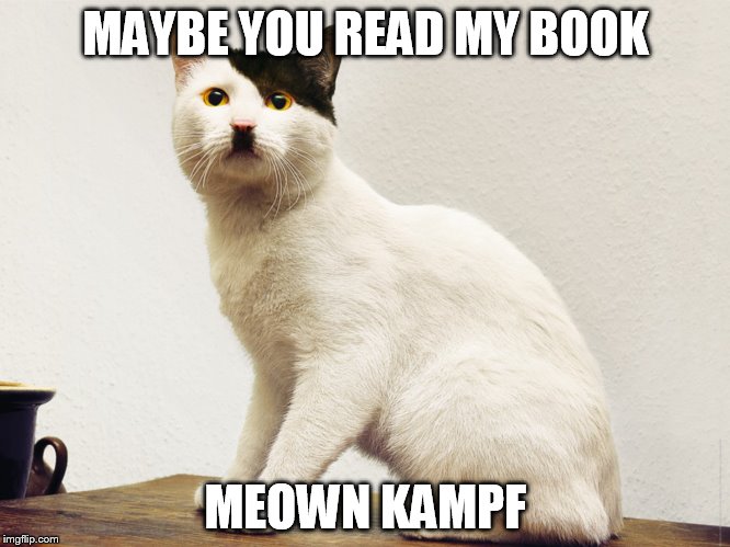 MAYBE YOU READ MY BOOK MEOWN KAMPF | made w/ Imgflip meme maker