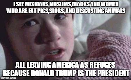 I See A Nightmare Come True | I SEE MEXICANS,MUSLIMS,BLACKS,AND WOMEN WHO ARE FAT PIGS,SLOBS, AND DISGUSTING ANIMALS; ALL LEAVING AMERICA AS REFUGES BECAUSE DONALD TRUMP IS THE PRESIDENT | image tagged in memes,i see dead people | made w/ Imgflip meme maker