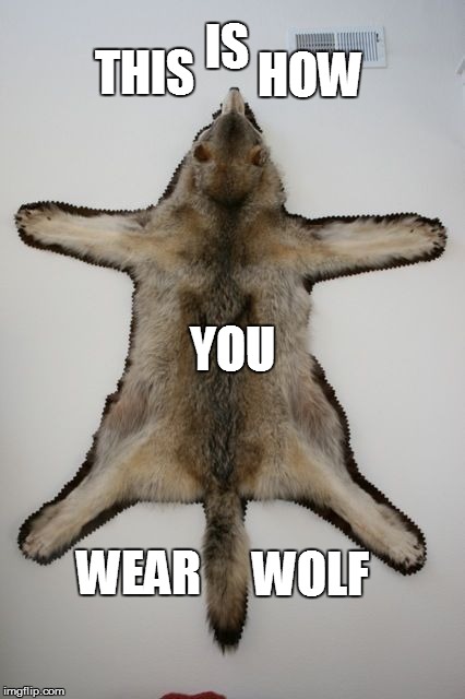 THIS HOW IS WOLF WEAR YOU | made w/ Imgflip meme maker