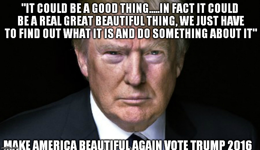 Make America Beautiful Again Vote Trump 2016 | "IT COULD BE A GOOD THING.....IN FACT IT COULD BE A REAL GREAT BEAUTIFUL THING, WE JUST HAVE TO FIND OUT WHAT IT IS AND DO SOMETHING ABOUT IT"; MAKE AMERICA BEAUTIFUL AGAIN VOTE TRUMP 2016 | image tagged in donald trump,trump,trump 2016,vote 2016 | made w/ Imgflip meme maker