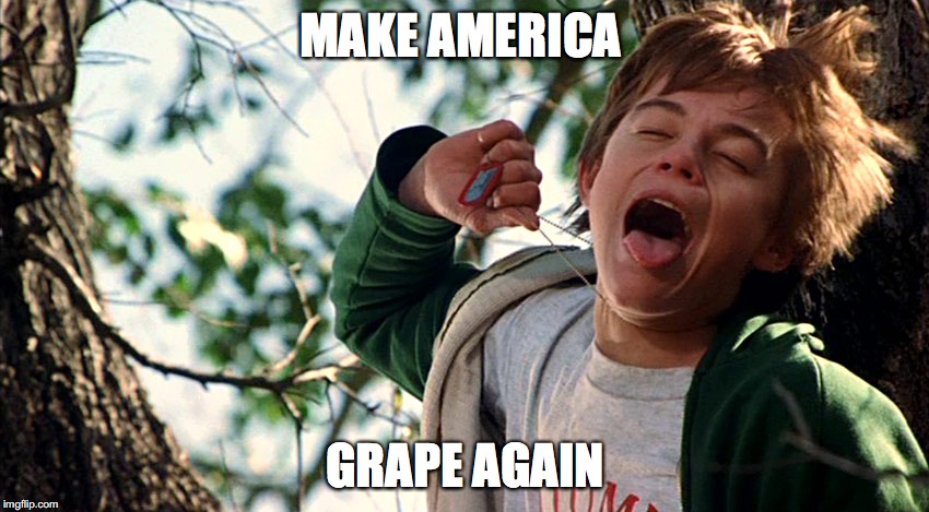 Make America Grape Again | MAKE AMERICA; GRAPE AGAIN | image tagged in donald trump,leonardo dicaprio cheers,grape,america,never go full retard | made w/ Imgflip meme maker