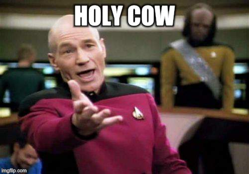 Picard Wtf Meme | HOLY COW | image tagged in memes,picard wtf | made w/ Imgflip meme maker