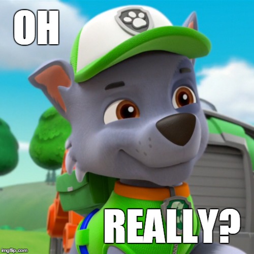 Oh really? | OH; REALLY? | image tagged in rocky,paw patrol | made w/ Imgflip meme maker