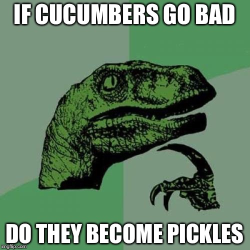Philosoraptor Meme | IF CUCUMBERS GO BAD; DO THEY BECOME PICKLES | image tagged in memes,philosoraptor,pickles,cucumber | made w/ Imgflip meme maker