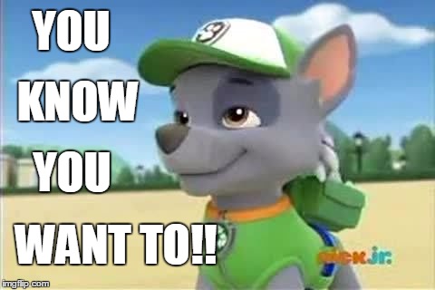 You Know You Want to | YOU; KNOW; YOU; WANT TO!! | image tagged in rocky,paw patrol,snarky | made w/ Imgflip meme maker