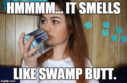 HMMMM... IT SMELLS LIKE SWAMP BUTT. | made w/ Imgflip meme maker