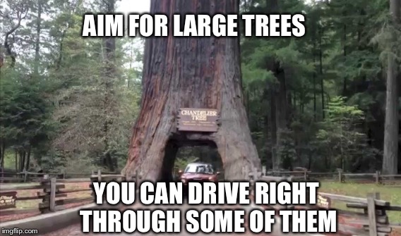 AIM FOR LARGE TREES YOU CAN DRIVE RIGHT THROUGH SOME OF THEM | made w/ Imgflip meme maker