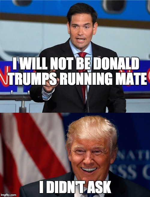 "It is only the people that were never asked to be VP that tell the press that they will not take the position." | I WILL NOT BE DONALD TRUMPS RUNNING MATE; I DIDN'T ASK | image tagged in trump,rubio,politics | made w/ Imgflip meme maker