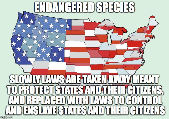 United States of America | ENDANGERED SPECIES; SLOWLY LAWS ARE TAKEN AWAY MEANT TO PROTECT STATES AND THEIR CITIZENS, AND REPLACED WITH LAWS TO CONTROL AND ENSLAVE STATES AND THEIR CITIZENS | image tagged in united states of america | made w/ Imgflip meme maker