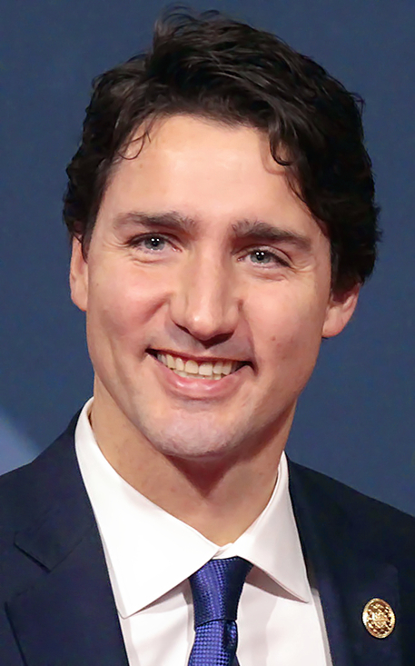 High Quality Justin Trudeau Blank Meme Template