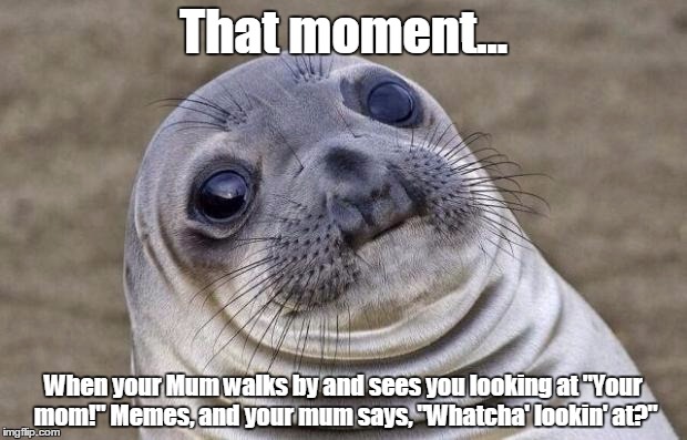 Awkward Moment Sealion | That moment... When your Mum walks by and sees you looking at "Your mom!" Memes, and your mum says, "Whatcha' lookin' at?" | image tagged in memes,awkward moment sealion | made w/ Imgflip meme maker