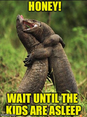 HONEY! WAIT UNTIL THE KIDS ARE ASLEEP | image tagged in lizard | made w/ Imgflip meme maker