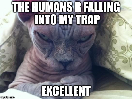 funny | THE HUMANS R FALLING INTO MY TRAP; EXCELLENT | image tagged in funny | made w/ Imgflip meme maker