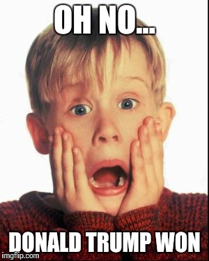 Home Alone Kid  | OH NO... DONALD TRUMP WON | image tagged in home alone kid | made w/ Imgflip meme maker
