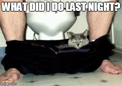 Just woke up | WHAT DID I DO LAST NIGHT? | image tagged in memes,do,last,night,funny | made w/ Imgflip meme maker