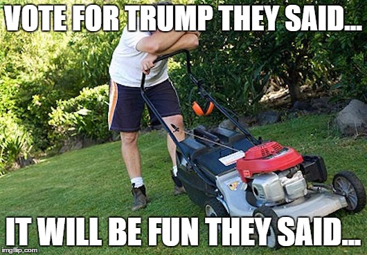 Vote for Trump | VOTE FOR TRUMP THEY SAID... IT WILL BE FUN THEY SAID... | image tagged in donald trump,trump,trump 2016,trump meme,trump for president | made w/ Imgflip meme maker