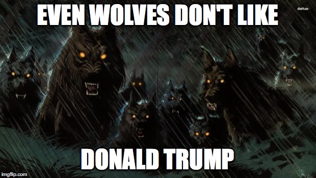 Werewolf | EVEN WOLVES DON'T LIKE; DONALD TRUMP | image tagged in werewolf | made w/ Imgflip meme maker