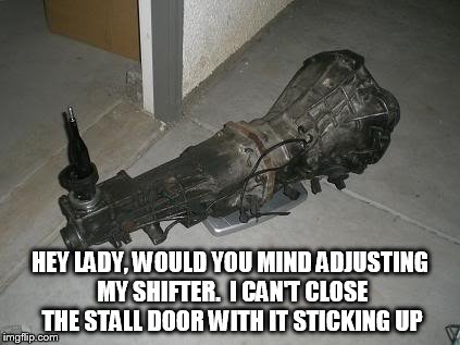 Tranny | HEY LADY, WOULD YOU MIND ADJUSTING MY SHIFTER.  I CAN'T CLOSE THE STALL DOOR WITH IT STICKING UP | image tagged in tranny | made w/ Imgflip meme maker