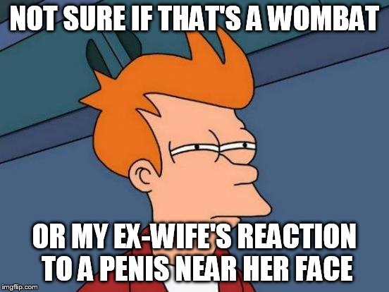 Futurama Fry Meme | NOT SURE IF THAT'S A WOMBAT OR MY EX-WIFE'S REACTION TO A P**IS NEAR HER FACE | image tagged in memes,futurama fry | made w/ Imgflip meme maker