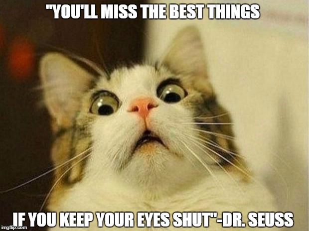 Scared Cat Meme | "YOU'LL MISS THE BEST THINGS; IF YOU KEEP YOUR EYES SHUT"-DR. SEUSS | image tagged in memes,scared cat | made w/ Imgflip meme maker