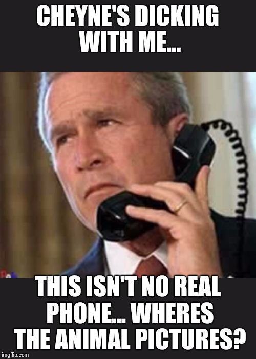 Hello George bush  | CHEYNE'S DICKING WITH ME... THIS ISN'T NO REAL PHONE... WHERES THE ANIMAL PICTURES? | image tagged in hello george bush | made w/ Imgflip meme maker
