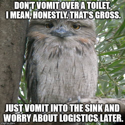 Wise Advice Potoo | DON'T VOMIT OVER A TOILET. I MEAN, HONESTLY. THAT'S GROSS. JUST VOMIT INTO THE SINK AND WORRY ABOUT LOGISTICS LATER. | image tagged in wise advice potoo | made w/ Imgflip meme maker