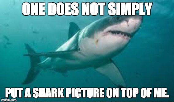 One Does Not Simply, Shark Edition | ONE DOES NOT SIMPLY; PUT A SHARK PICTURE ON TOP OF ME. | image tagged in memes,funny,one does not simply,great white shark | made w/ Imgflip meme maker