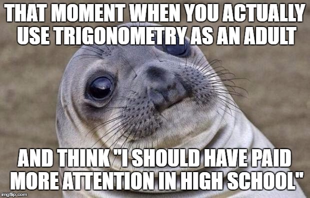 Awkward Moment Sealion Meme | THAT MOMENT WHEN YOU ACTUALLY USE TRIGONOMETRY AS AN ADULT; AND THINK "I SHOULD HAVE PAID MORE ATTENTION IN HIGH SCHOOL" | image tagged in memes,awkward moment sealion | made w/ Imgflip meme maker