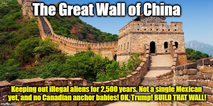 Great Wall of China | The Great Wall of China; Keeping out illegal aliens for 2,500 years. Not a single Mexican yet, and no Canadian anchor babies! OK, Trump! BUILD THAT WALL! | image tagged in great wall of china | made w/ Imgflip meme maker