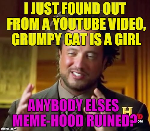 I'm pretty sure most Imgflippers thought Grumpy Cat was a boy. | I JUST FOUND OUT FROM A YOUTUBE VIDEO, GRUMPY CAT IS A GIRL; ANYBODY ELSES MEME-HOOD RUINED? | image tagged in memes,ancient aliens,gender,youtube,grumpy cat,childhood ruined | made w/ Imgflip meme maker