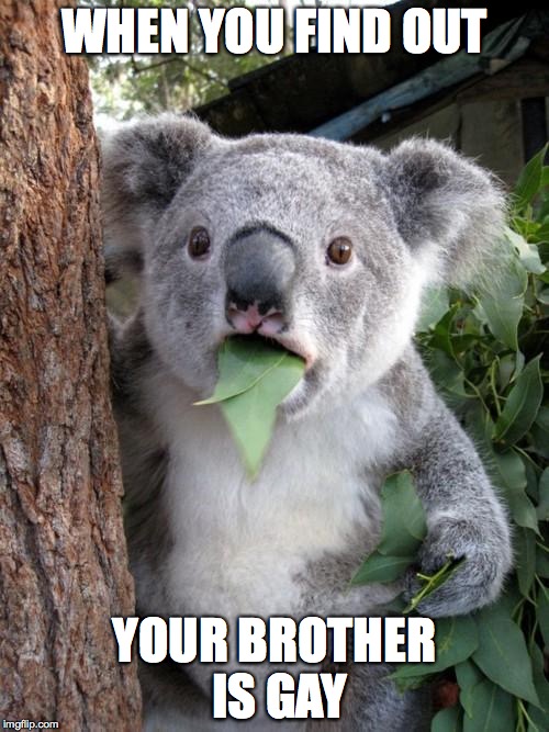 Surprised Koala | WHEN YOU FIND OUT; YOUR BROTHER IS GAY | image tagged in memes,surprised koala | made w/ Imgflip meme maker