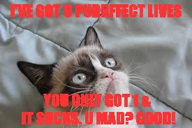 Grumpier Cat | I'VE GOT 9 PURRFFECT LIVES; YOU ONLY GOT 1 & IT SUCKS. U MAD? GOOD! | image tagged in grumpy cat | made w/ Imgflip meme maker
